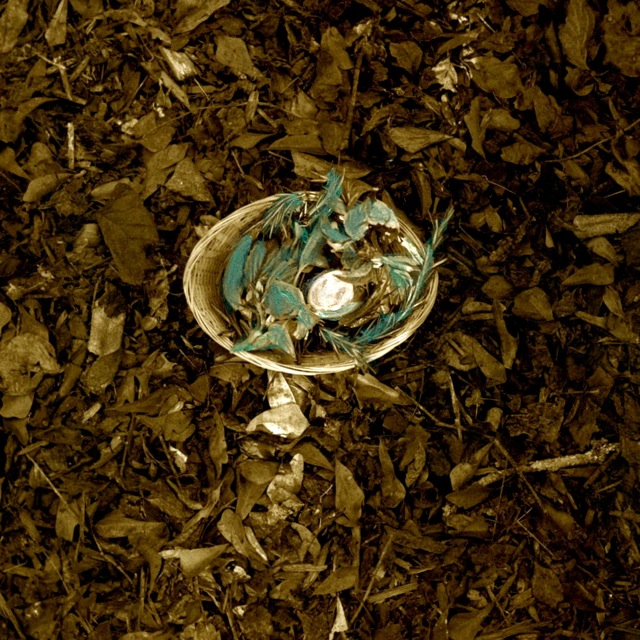 Loading Image