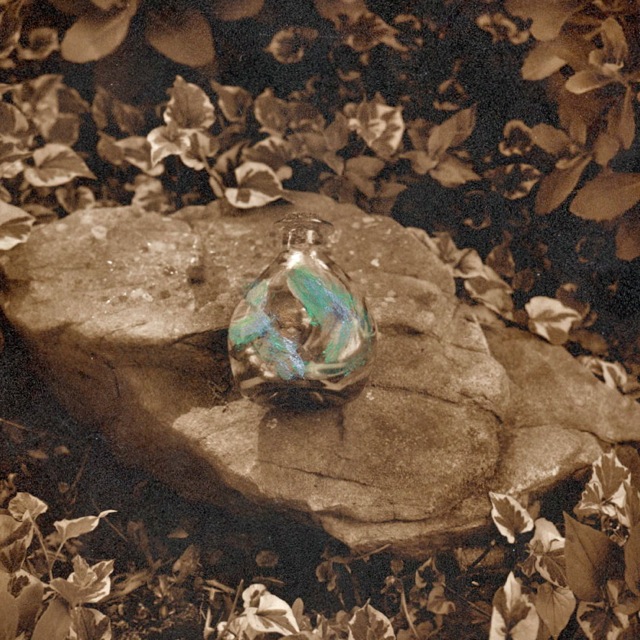 Loading Image